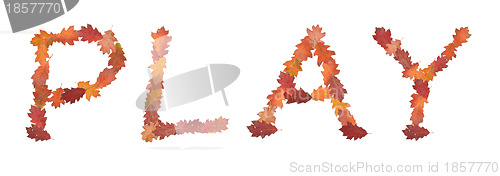 Image of word play made of autumn leaves for game