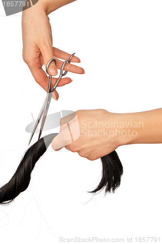 Image of hairdresser cutting young woman