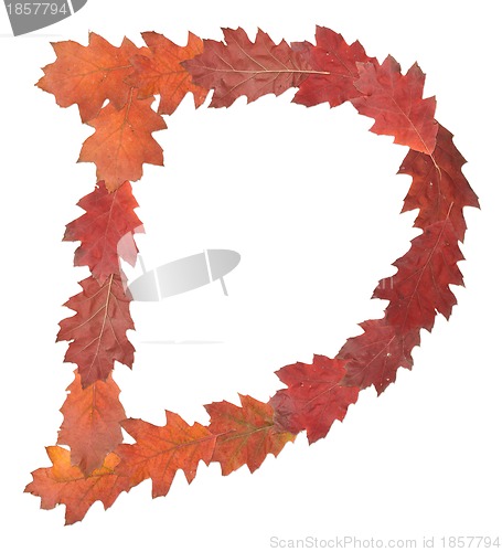 Image of letter made of oak autumn leaves