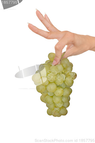 Image of a branch of green grape in the woman's hand