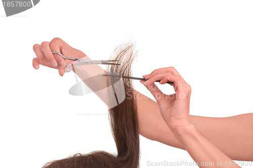 Image of hairdresser cutting young woman