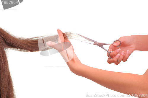 Image of hairdresser cutting young woman