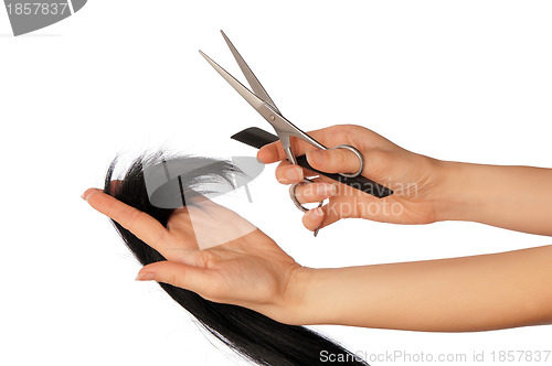 Image of hairdresser cutting young woman