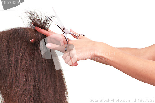 Image of hairdresser cutting young woman