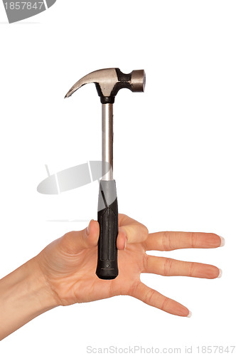 Image of Hammer