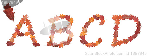 Image of alphabet made of autumn leaves