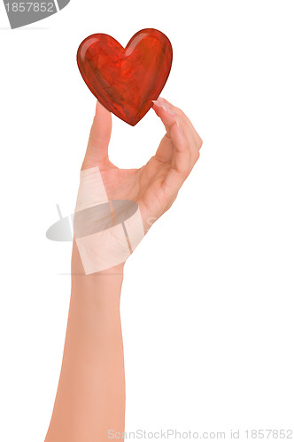 Image of red heart in the hand