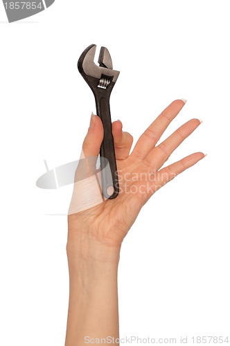 Image of small adjustable spanner in the hand