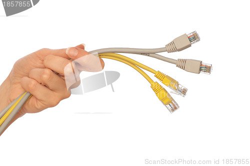 Image of LAN cords
