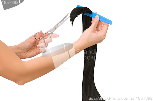 Image of hairdresser cutting young woman