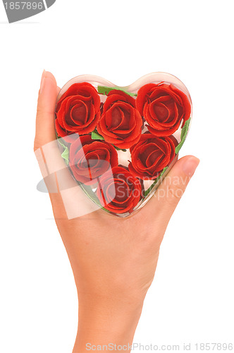 Image of roses