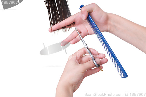 Image of hairdresser cutting young woman