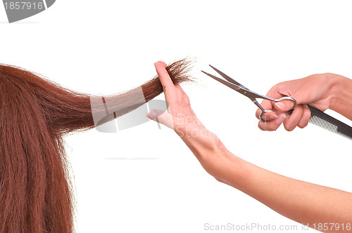 Image of hairdresser cutting young woman