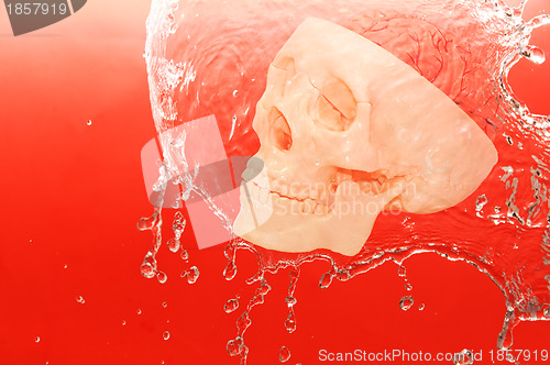 Image of white skull in the water