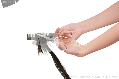 Image of hairdresser cutting young woman