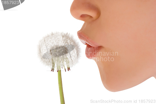 Image of woman with dandelion
