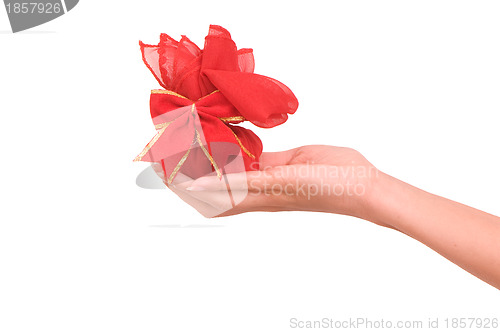 Image of gift in the red bag