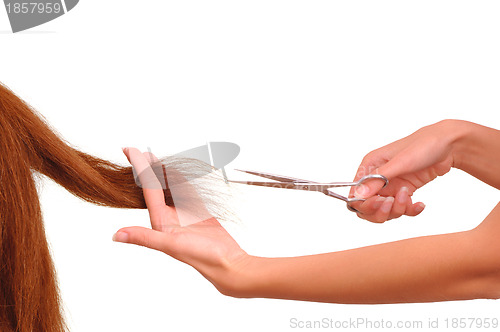 Image of hairdresser cutting young woman