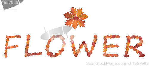 Image of word flower made of autumn leaves