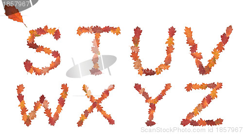 Image of alphabet made of autumn leaves