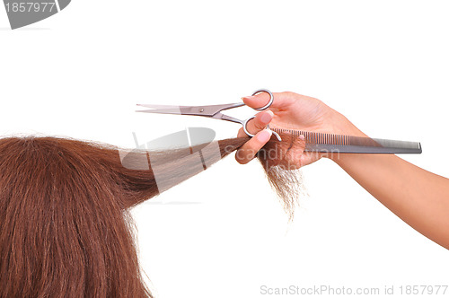 Image of hairdresser cutting young woman