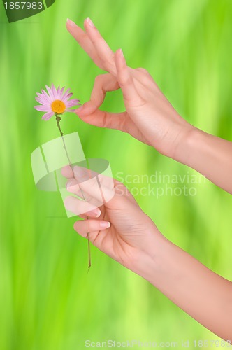 Image of love divination