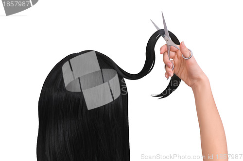 Image of hairdresser cutting young woman