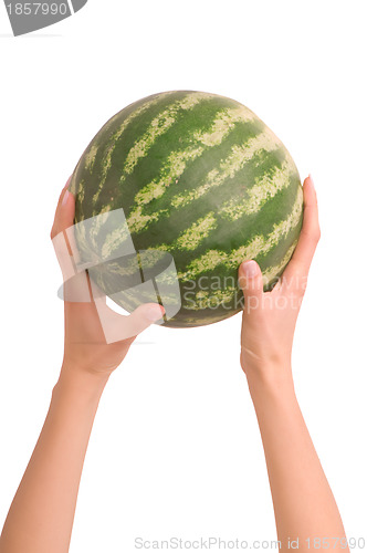 Image of small watermelon in the woman's hand