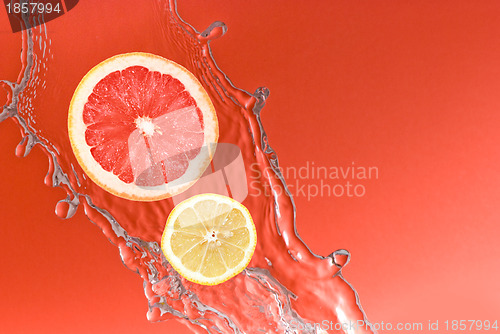 Image of fruits in the water