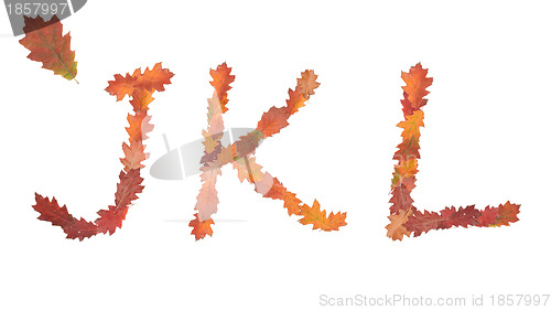 Image of alphabet made of autumn leaves