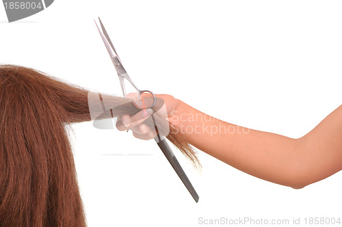 Image of hairdresser cutting young woman