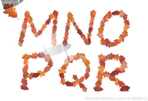 Image of alphabet made of autumn leaves