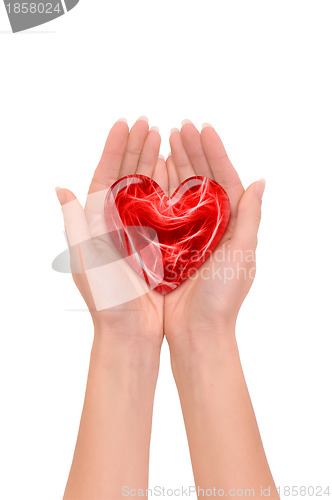 Image of red heart in the hand