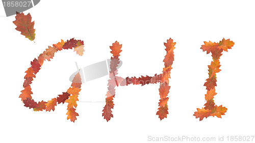 Image of alphabet made of autumn leaves