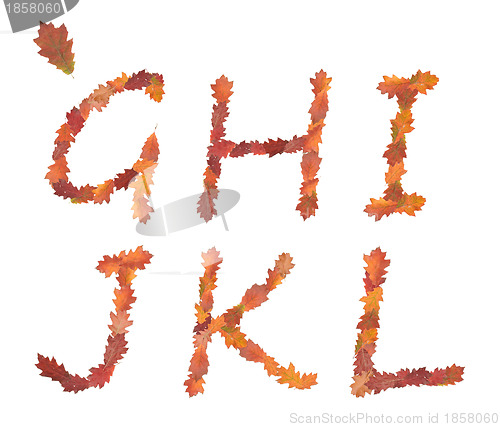 Image of alphabet made of autumn leaves