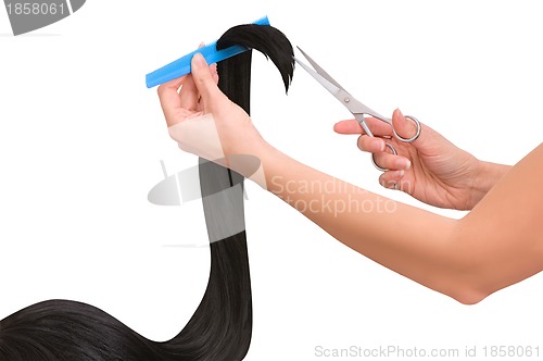 Image of hairdresser cutting young woman