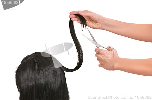 Image of hairdresser cutting young woman