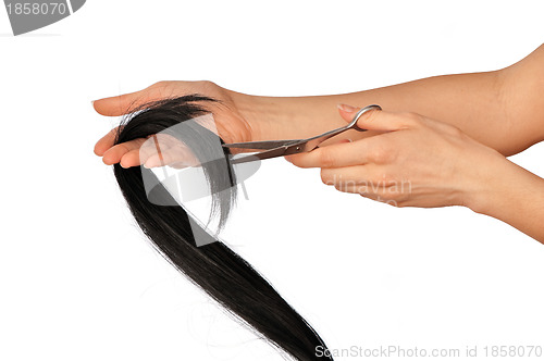 Image of hairdresser cutting young woman