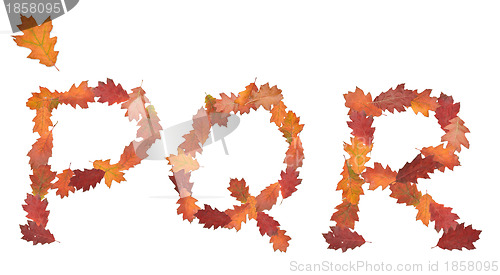 Image of alphabet made of autumn leaves