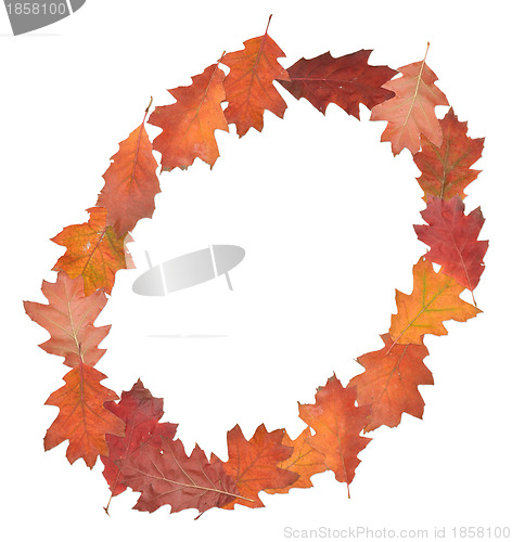 Image of letter made of oak autumn leaves