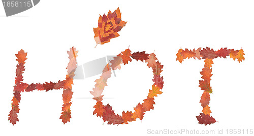 Image of word hot made of autumn leaves