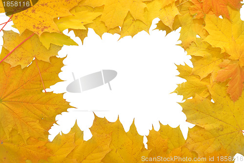 Image of frame made of yellow autumn leaves