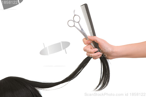 Image of hairdresser cutting young woman