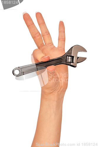 Image of small adjustable spanner in the hand