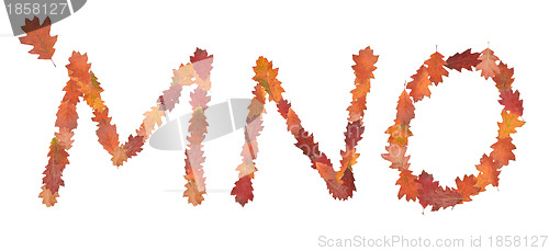 Image of alphabet made of autumn leaves