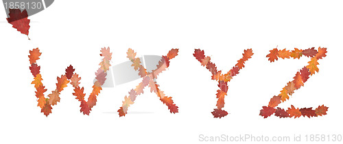 Image of alphabet made of autumn leaves