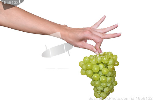 Image of a brunch of green grape in the hand