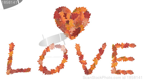 Image of word love made of autumn leaves