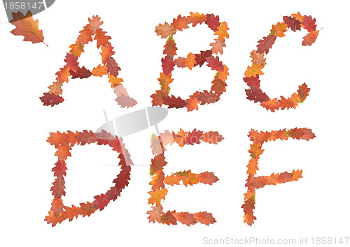 Image of alphabet made of autumn leaves