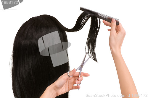 Image of hairdresser cutting young woman